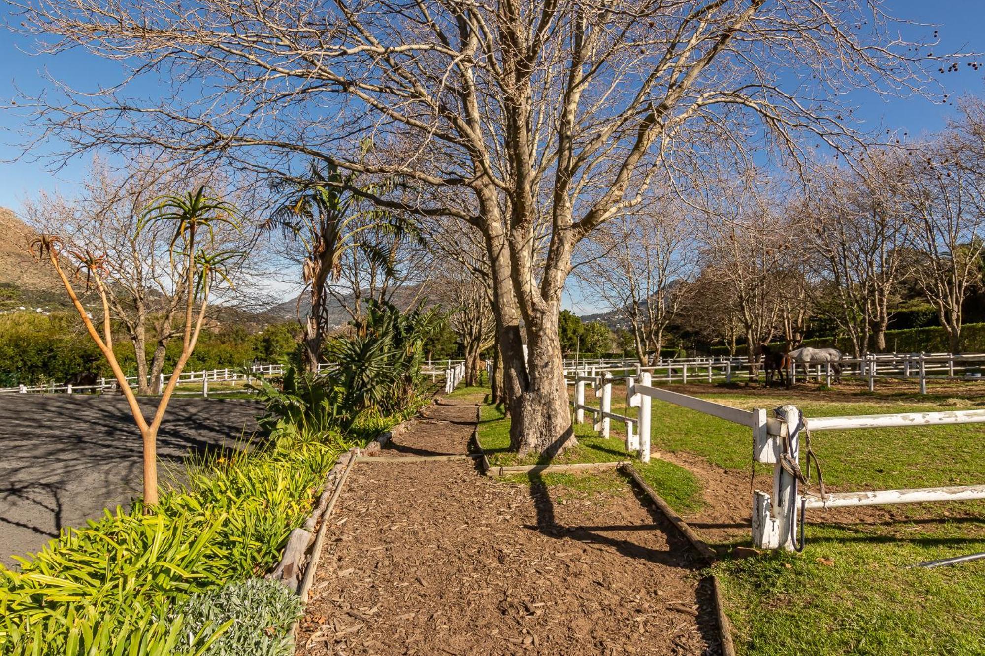 Novelle Vista Cottage Hout Bay Exteriör bild