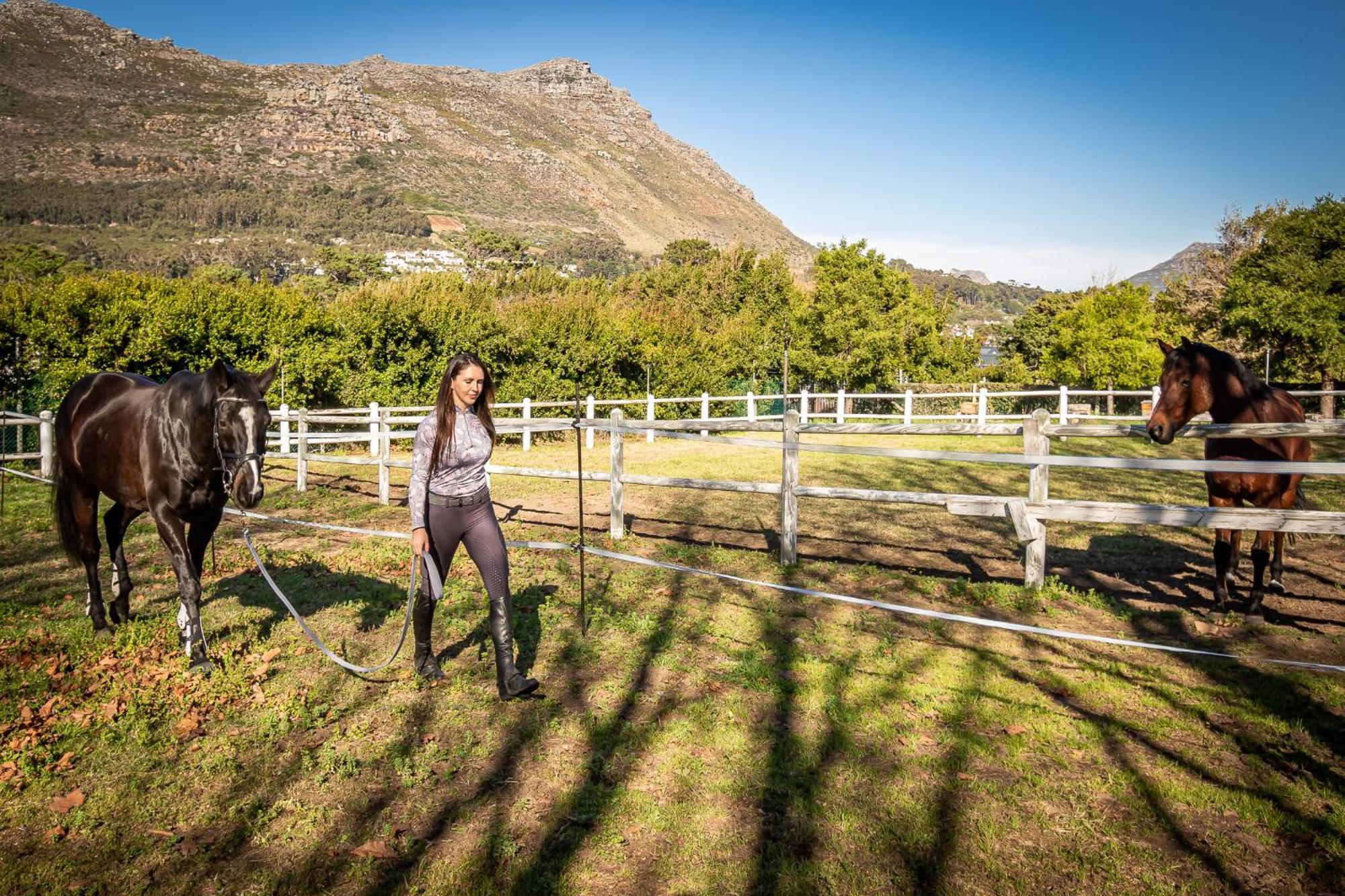 Novelle Vista Cottage Hout Bay Exteriör bild